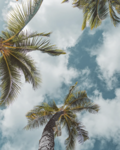 Vacation Rental Managers In Kona Hawaii 